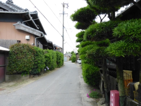 画像46